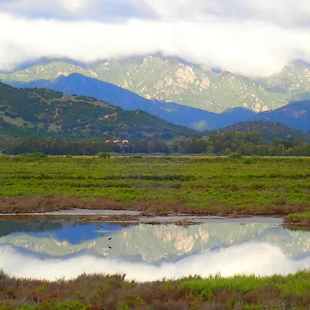 S'arrioleddu ベッド・アンド・ブレックファスト 3*